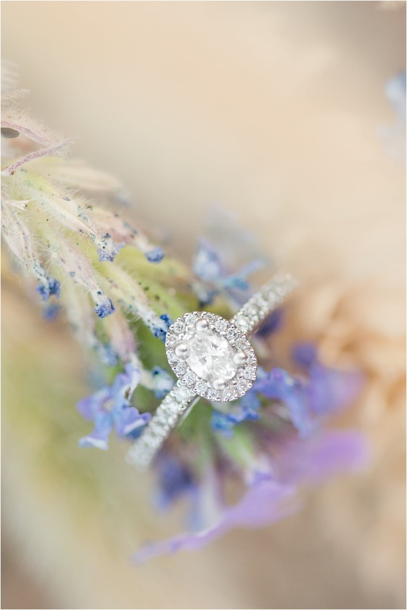engagment ring on weed with flowers