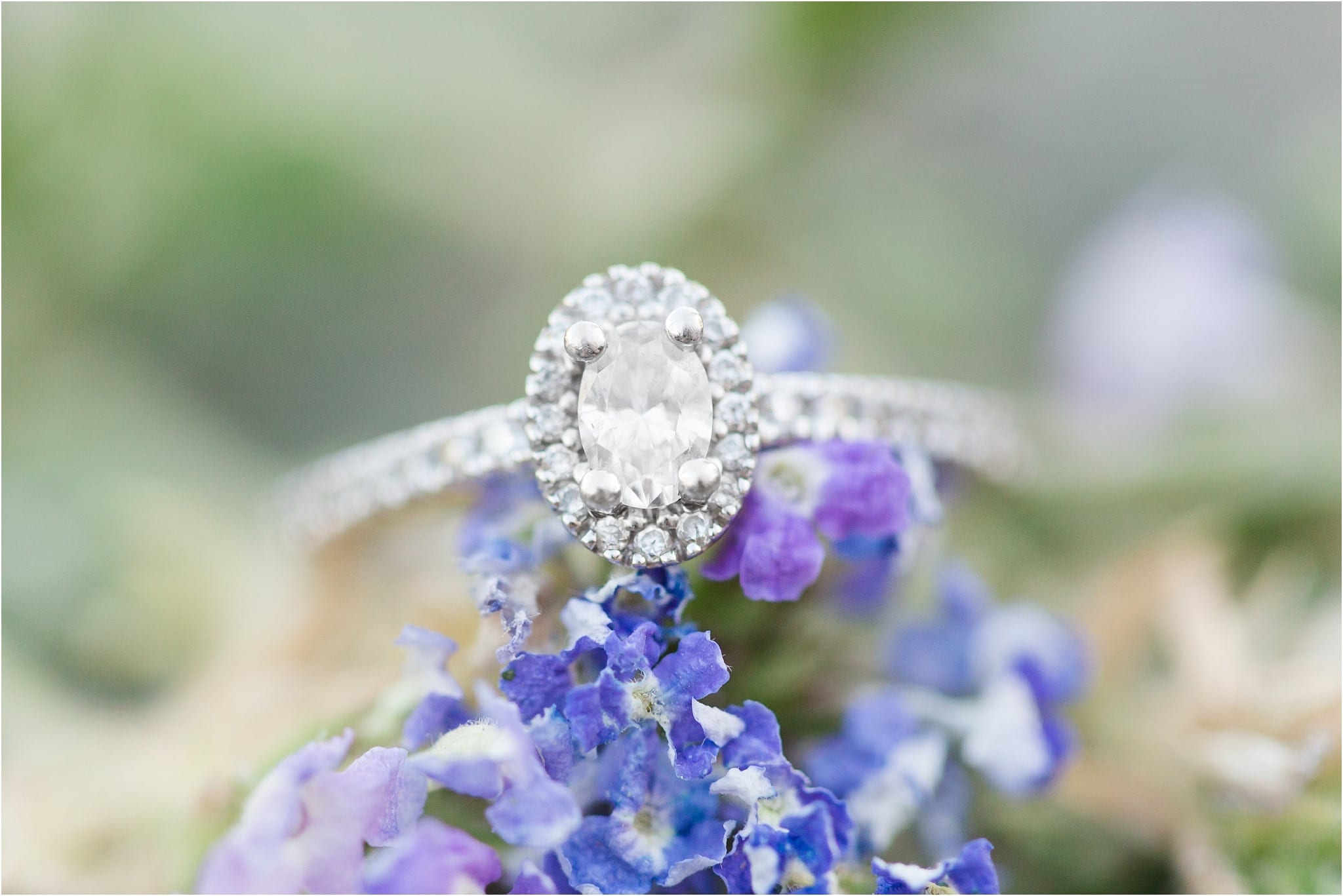 engagement ring on purple flowers