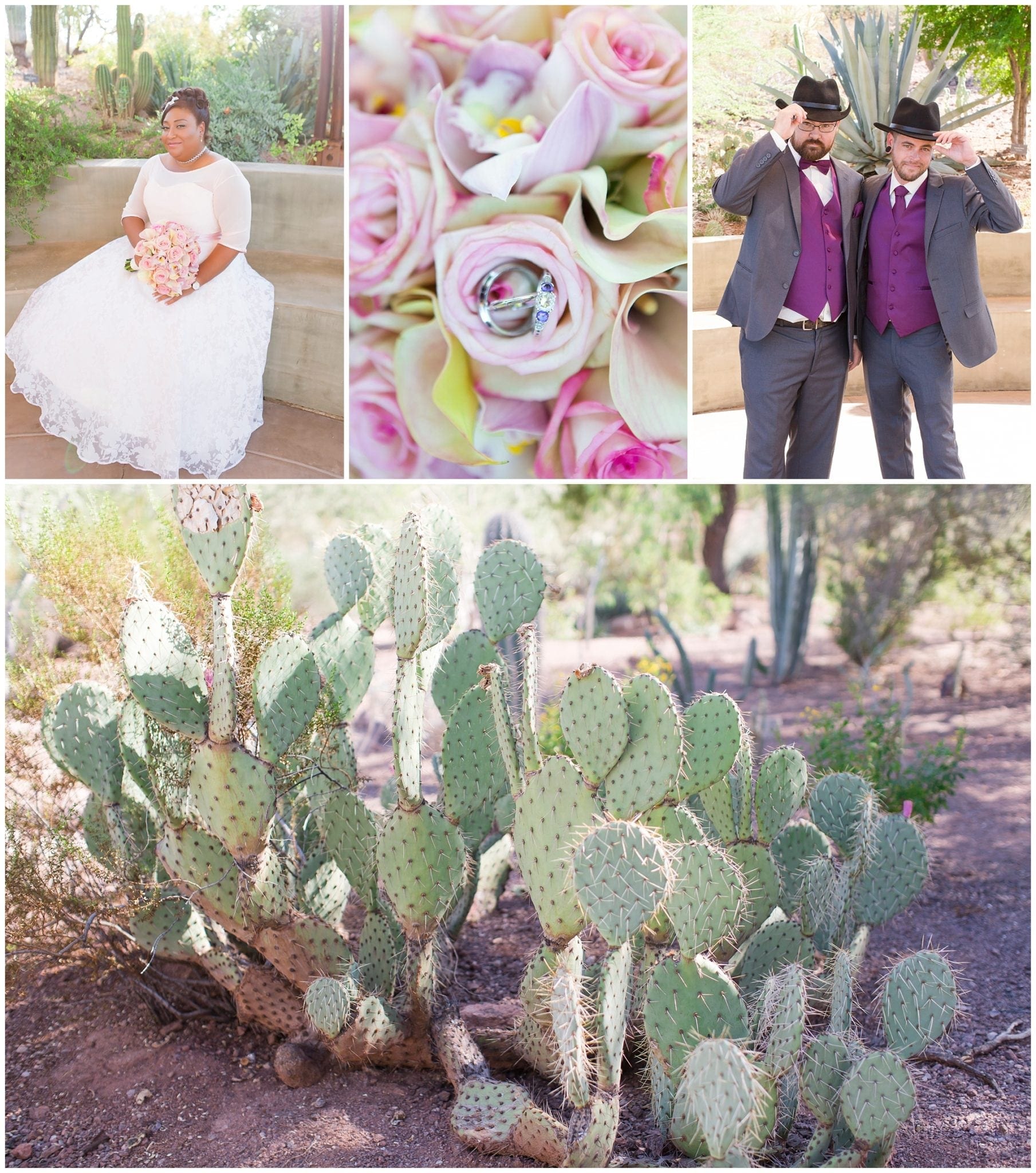 Desert Botanical Gardens Wedding Purple and Grey Wedding