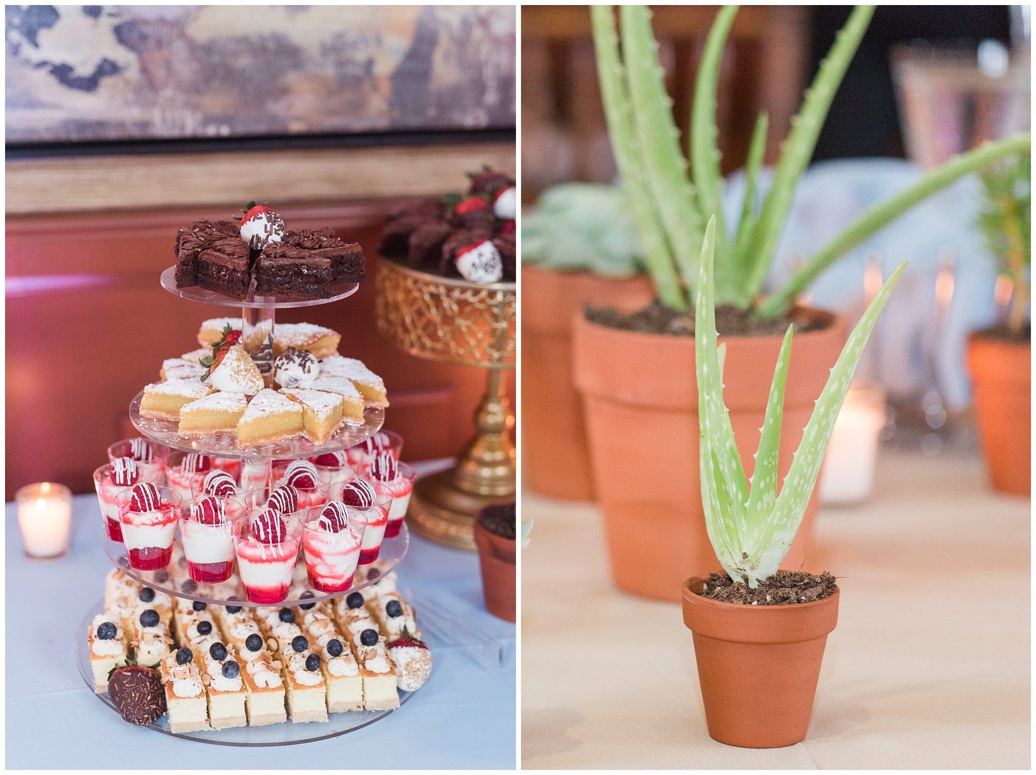 Kiva Club Wedding Reception Decor Cactus Themed