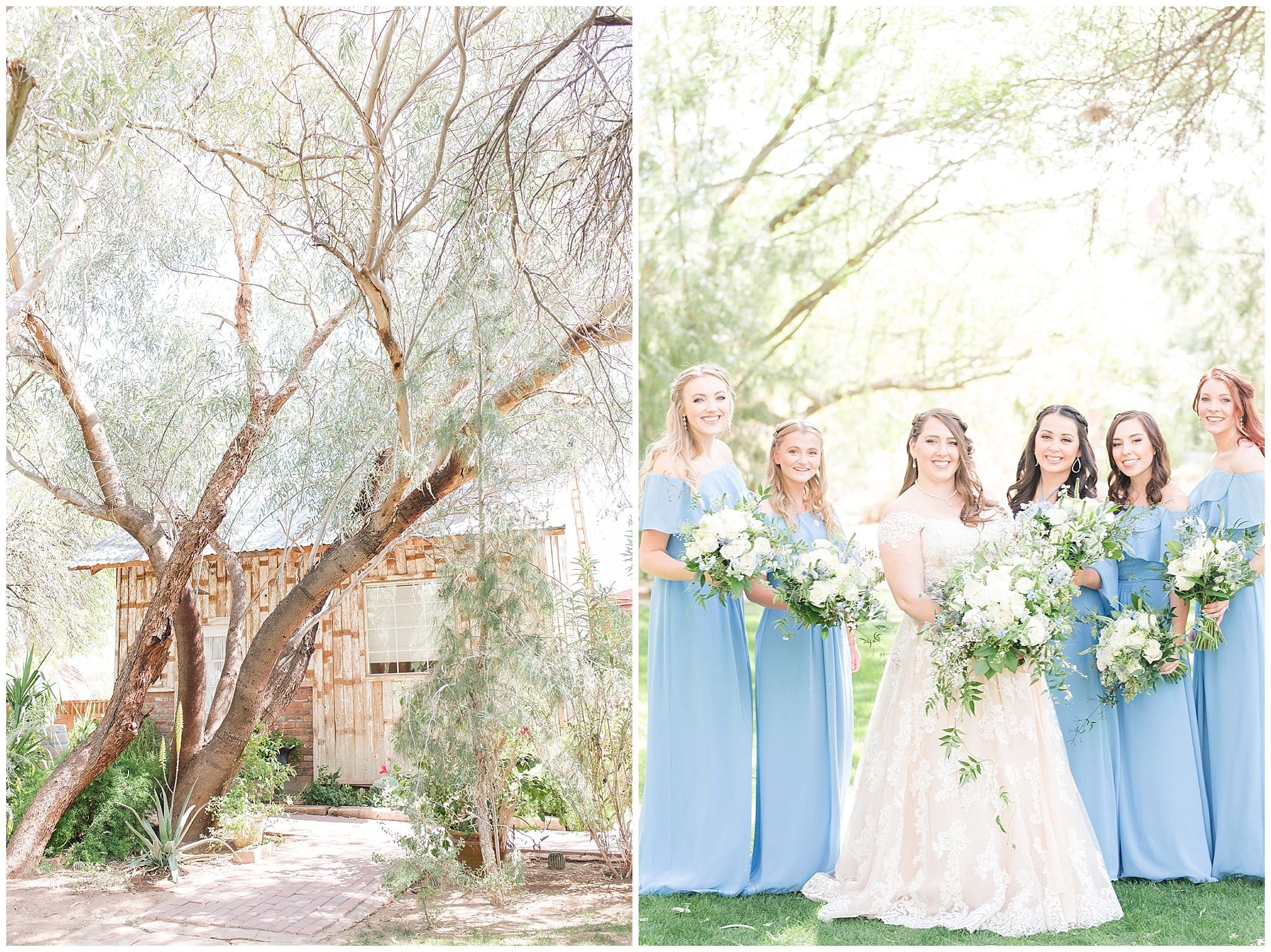 Windmill Winery Twisted Tree Ceremony Location | Bridesmaid Pictures | Bridal Bungalow