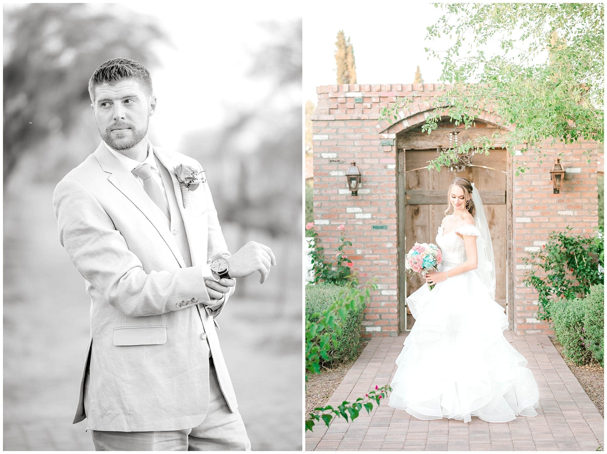 Bride and Groom Portrait at Windmill Winery