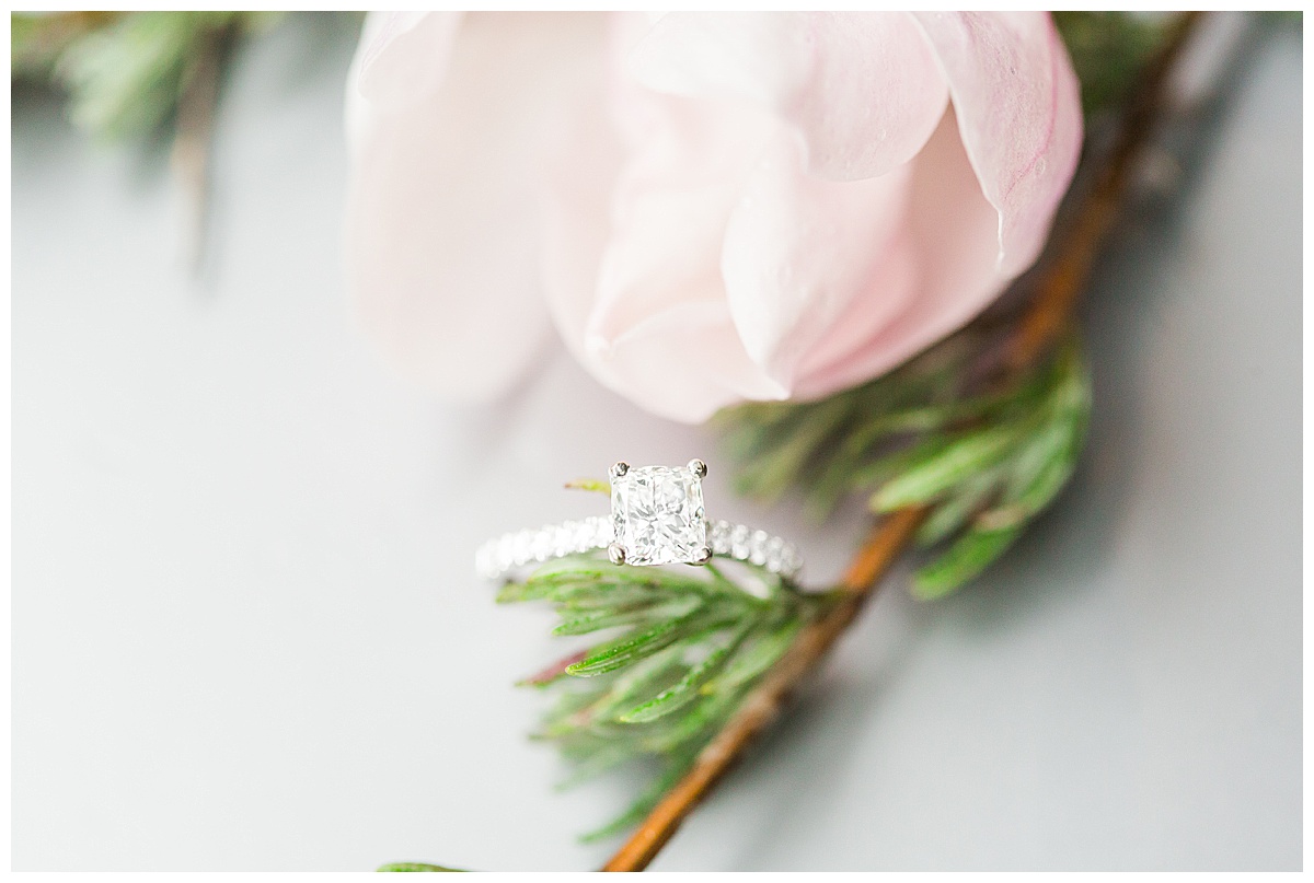 engagement ring on pine branch