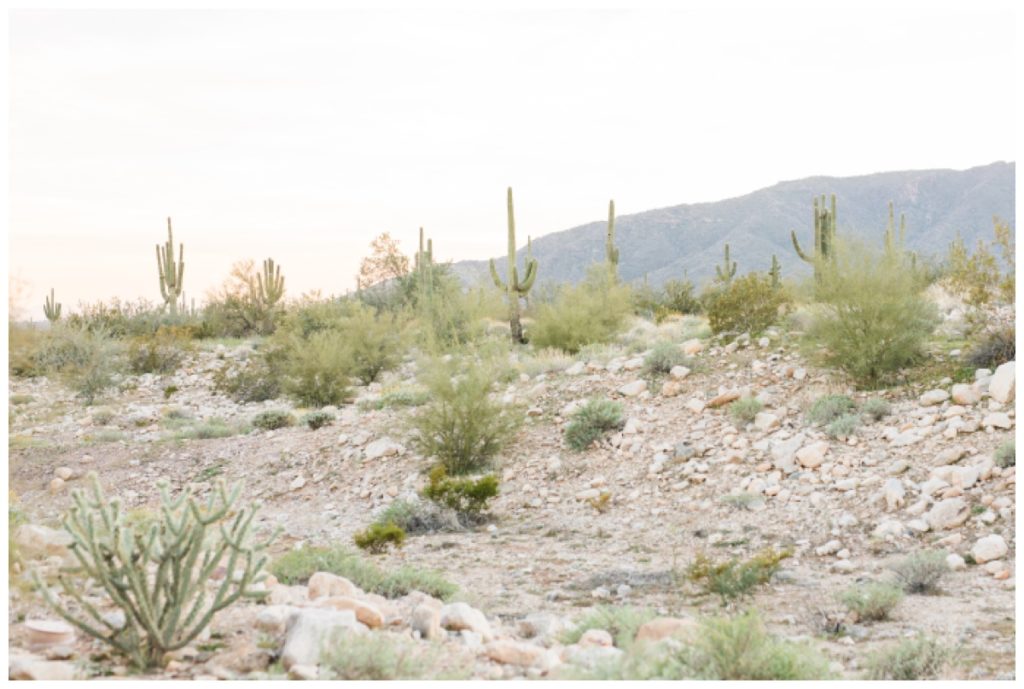 Phoenix Desert Engagement Session | Breanna and Shawn | Amanda Cromer Photography_0014