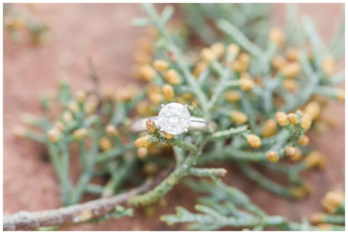 engagement ring on shrubbery