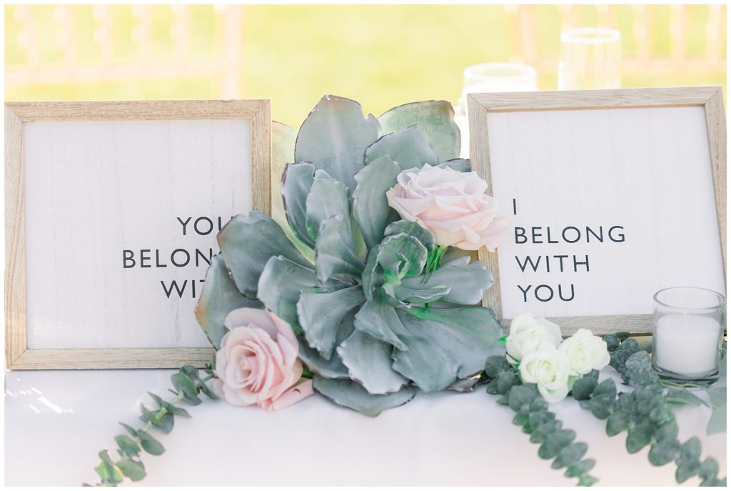 Succulents, I belong with you and you belong with me pictures
