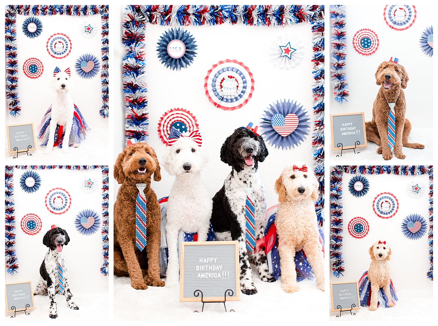 Phoenix wedding photographer, red, white and blue, USA,Dogs celebrating American independence day, fourth of July goldendoodle pictures, kids with dogs, kids. with goldendoodles, red goldendoodle, black goldendoodle, black and white goldendoodle, white goldendoodle, gold goldendoodle, poodle mix