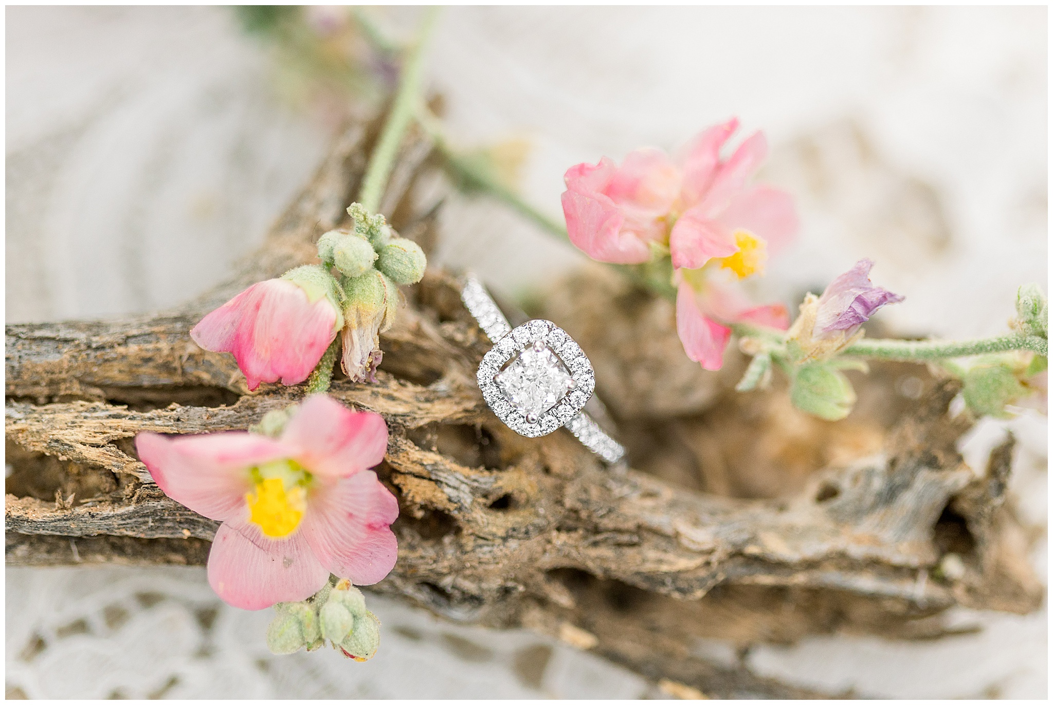 Engagement ring on wood with pink flowers