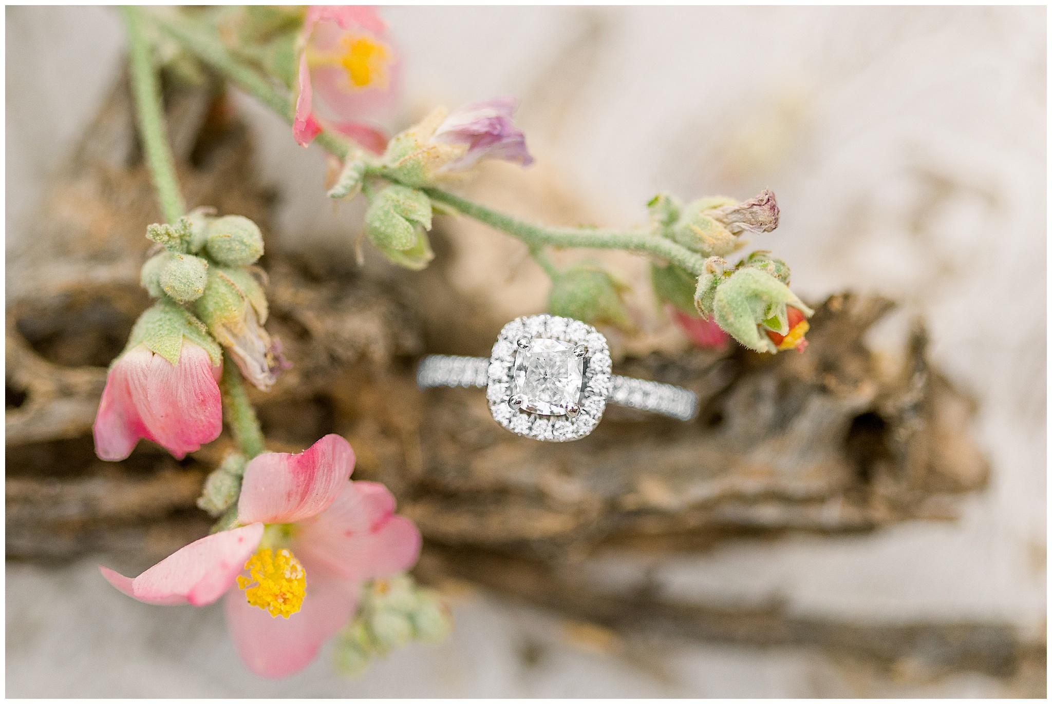 Engagement ring on wood with pink flowers