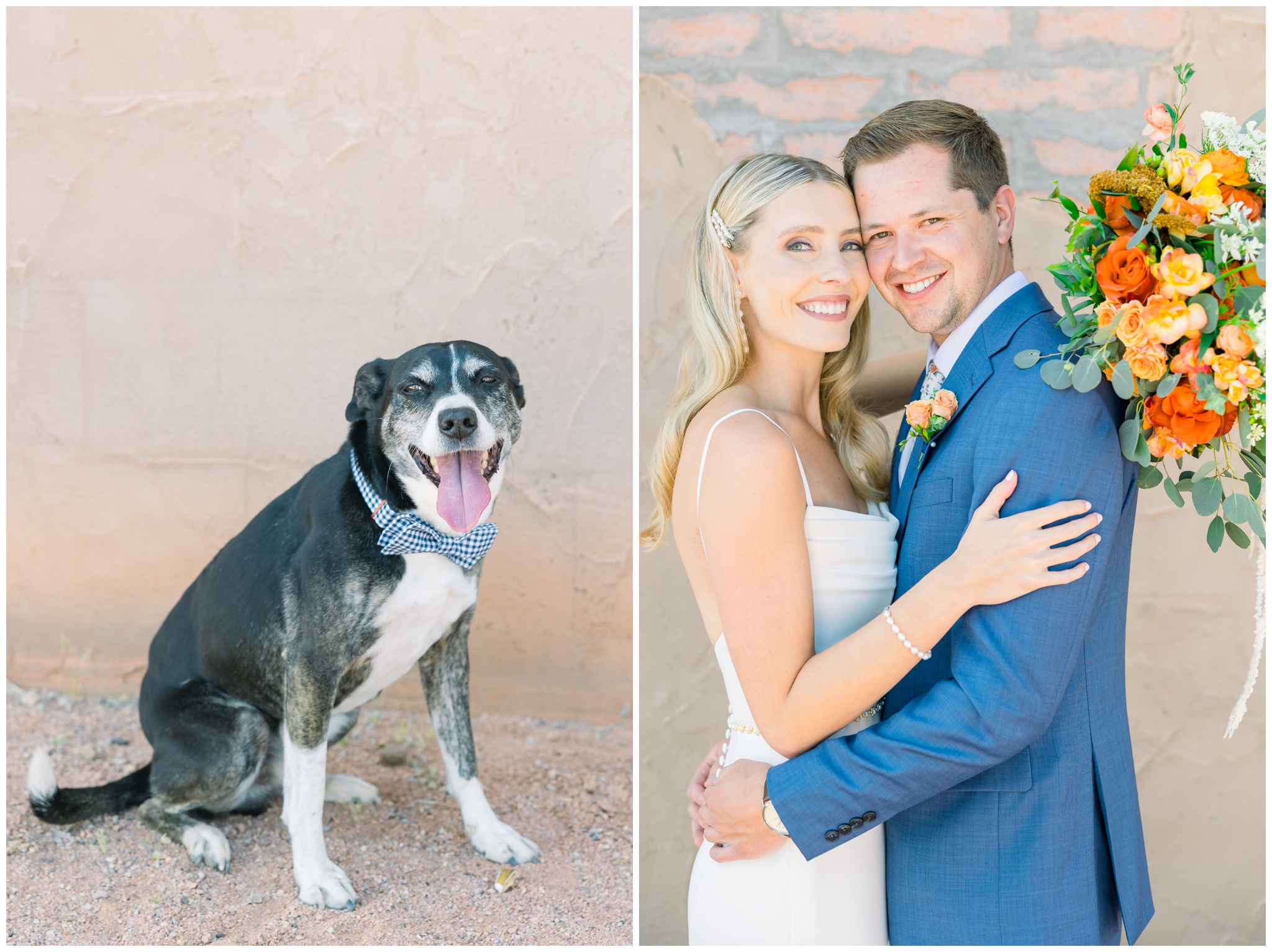 Bride and groom portraits, with dog in boutonniere